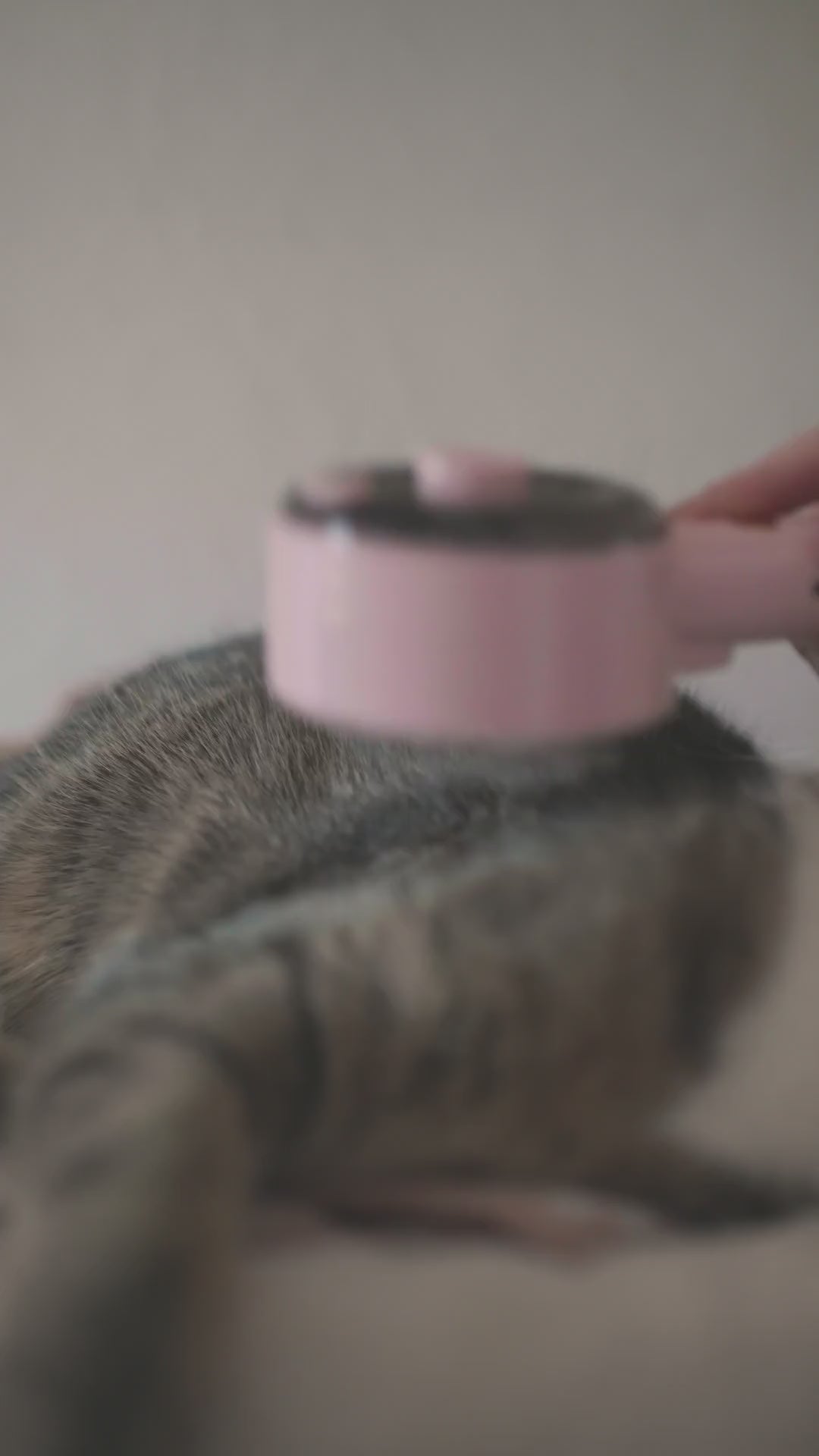 Video laden: 